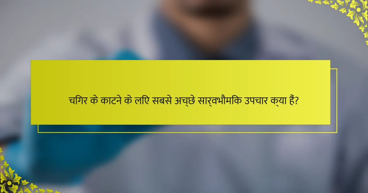 चिगर के काटने के लिए सबसे अच्छे सार्वभौमिक उपचार क्या हैं?