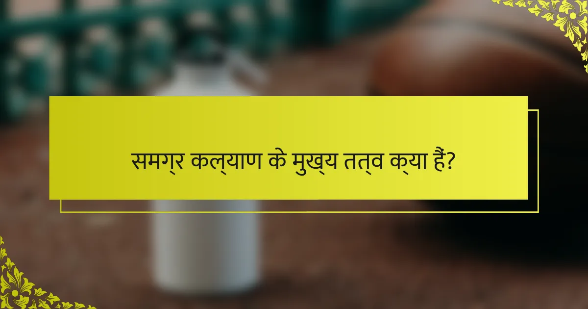 समग्र कल्याण के मुख्य तत्व क्या हैं?